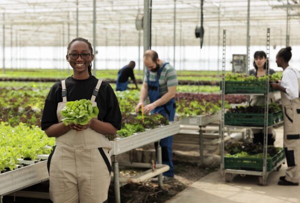 portrait-african-american-worker-holding-fresh-green-lettuce-grown-hydroponic-controlled-enviroment-delivery-smiling-woman-showing-freshly-harvested-salad-grown-modern-greenhouse-min portrait-african-american-worker-holding-fresh-green-lettuce-grown-hydroponic-controlled-enviroment-delivery-smiling-woman-showing-freshly-harvested-salad-grown-modern-greenhouse-min